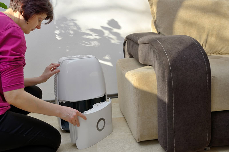 Woman emptying her dehumidifier in her Bowling Green, Ohio home.